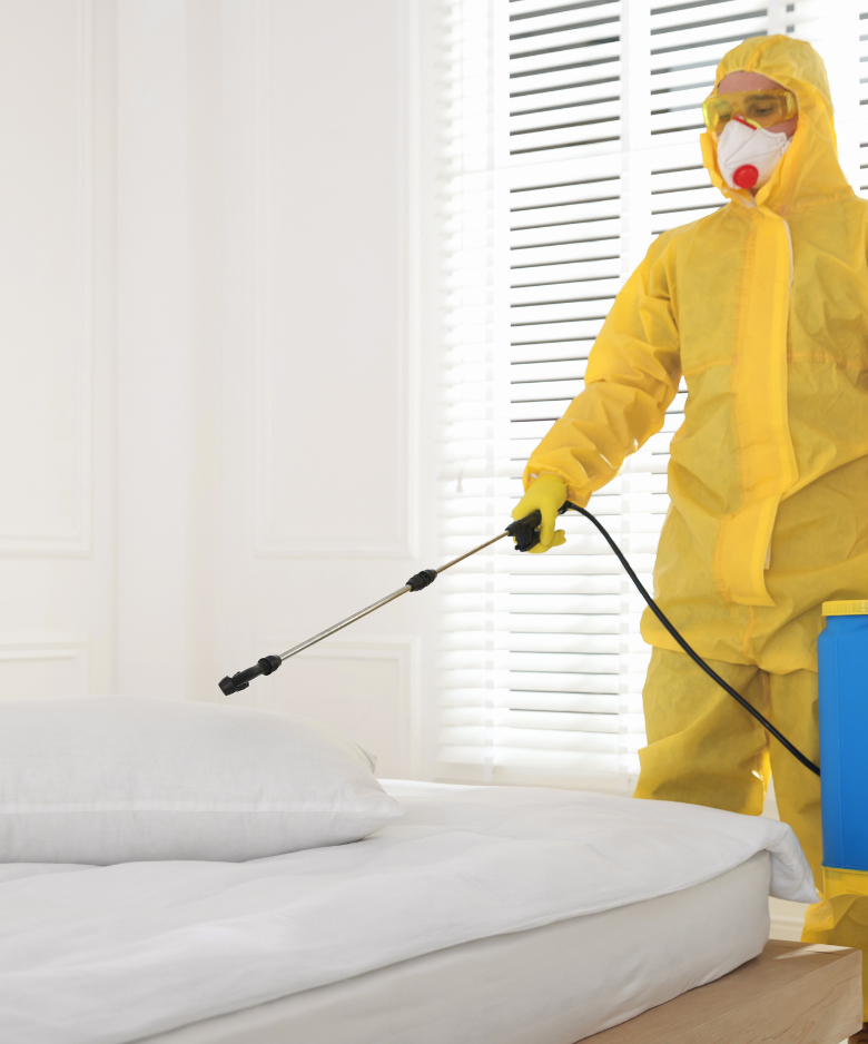 Professional Pest Control Team in Millbrook